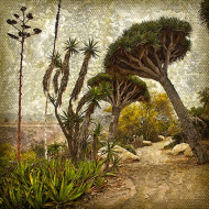 A Walk on the Wild Side