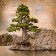 My Own Private Idaho