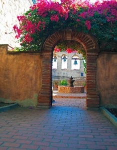 Bougainvillea at the Mission