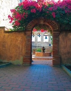 Bougainvillea at the Mission