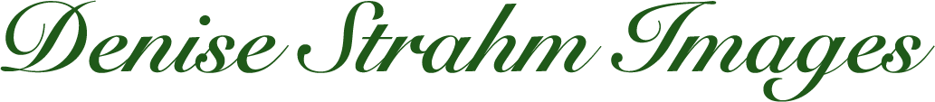 Denise Strahm Images